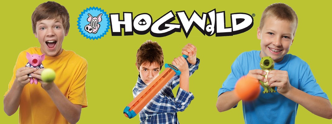 Hogwild