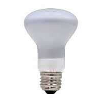 Schylling 100 Watt Light Bulb 