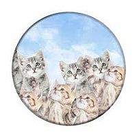 PopSockets Sky Kitties
