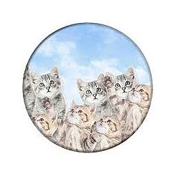 PopSockets Sky Kitties